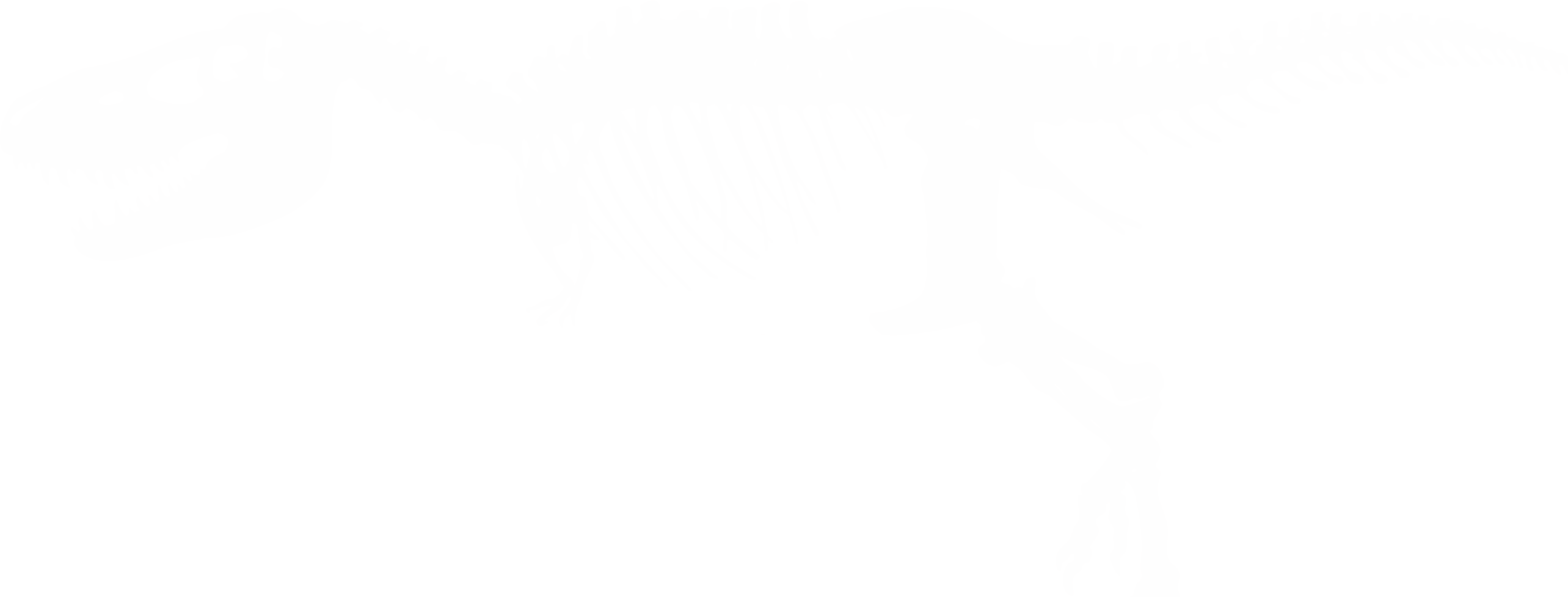 Silhouette of a T-Rex skeleton.